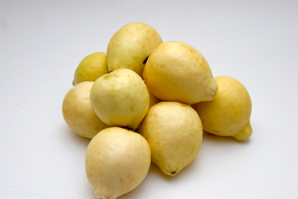 guava