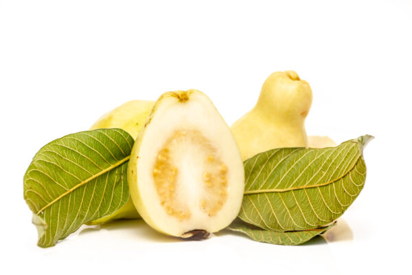guava2